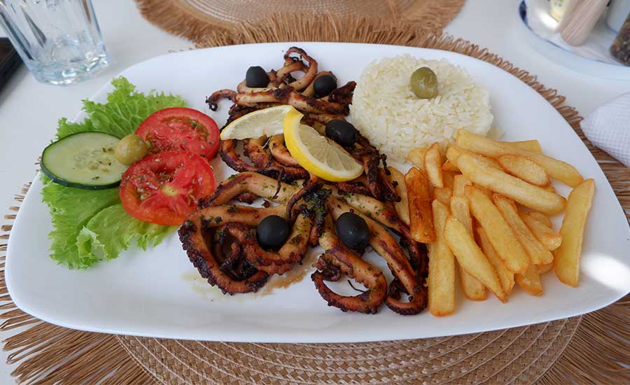 Pulpo